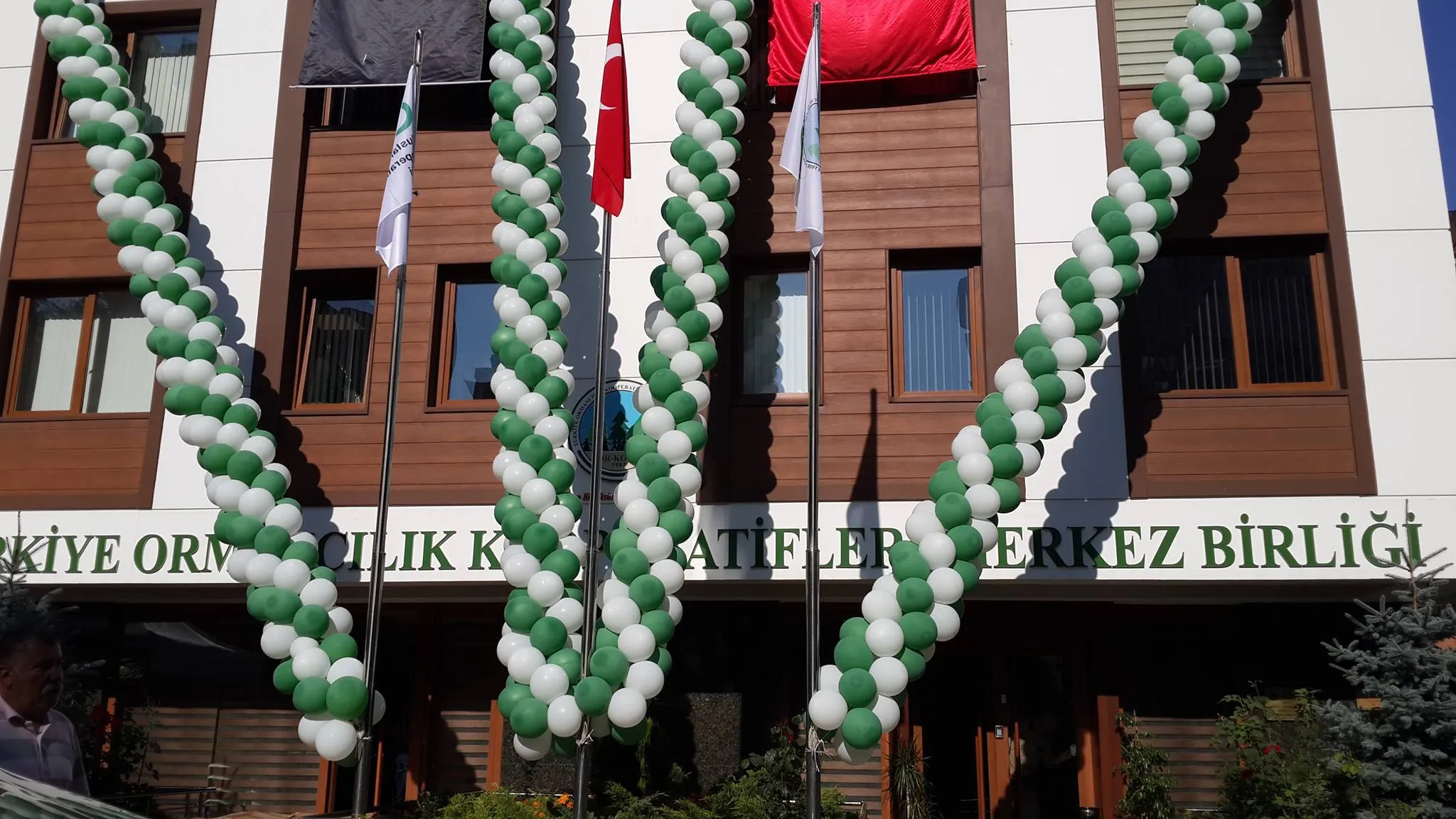 İzmir nişan için altın balon perde backdrop